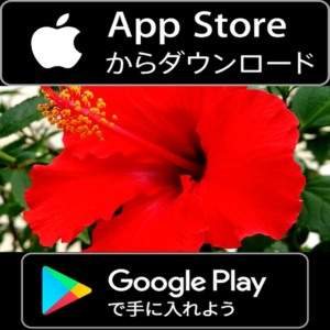 ハナハナカウンター+設定判別アプリ